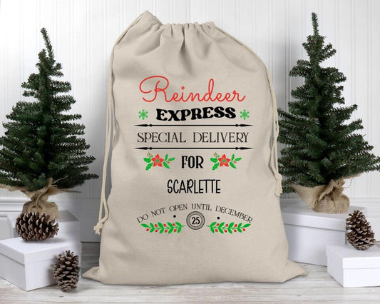 Reindeer Express Special Delivery Santa Sack