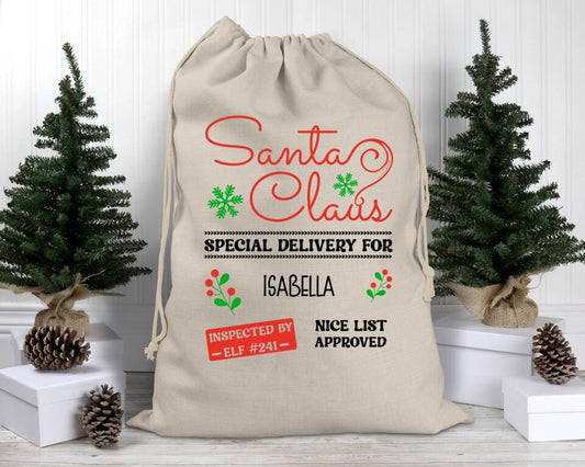 Santa Claus Special Delivery Santa Sack
