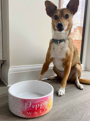 Pink Colour Splash Personalised Dog Bowl
