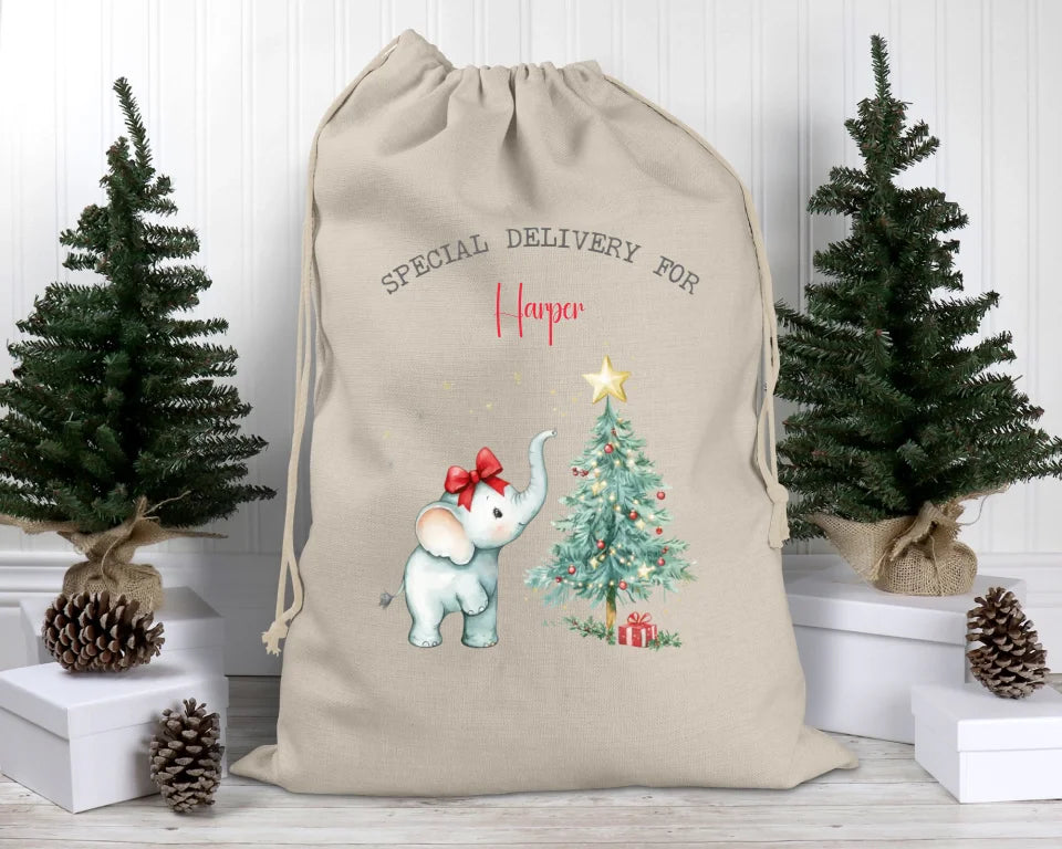 Personalised Santa Sack