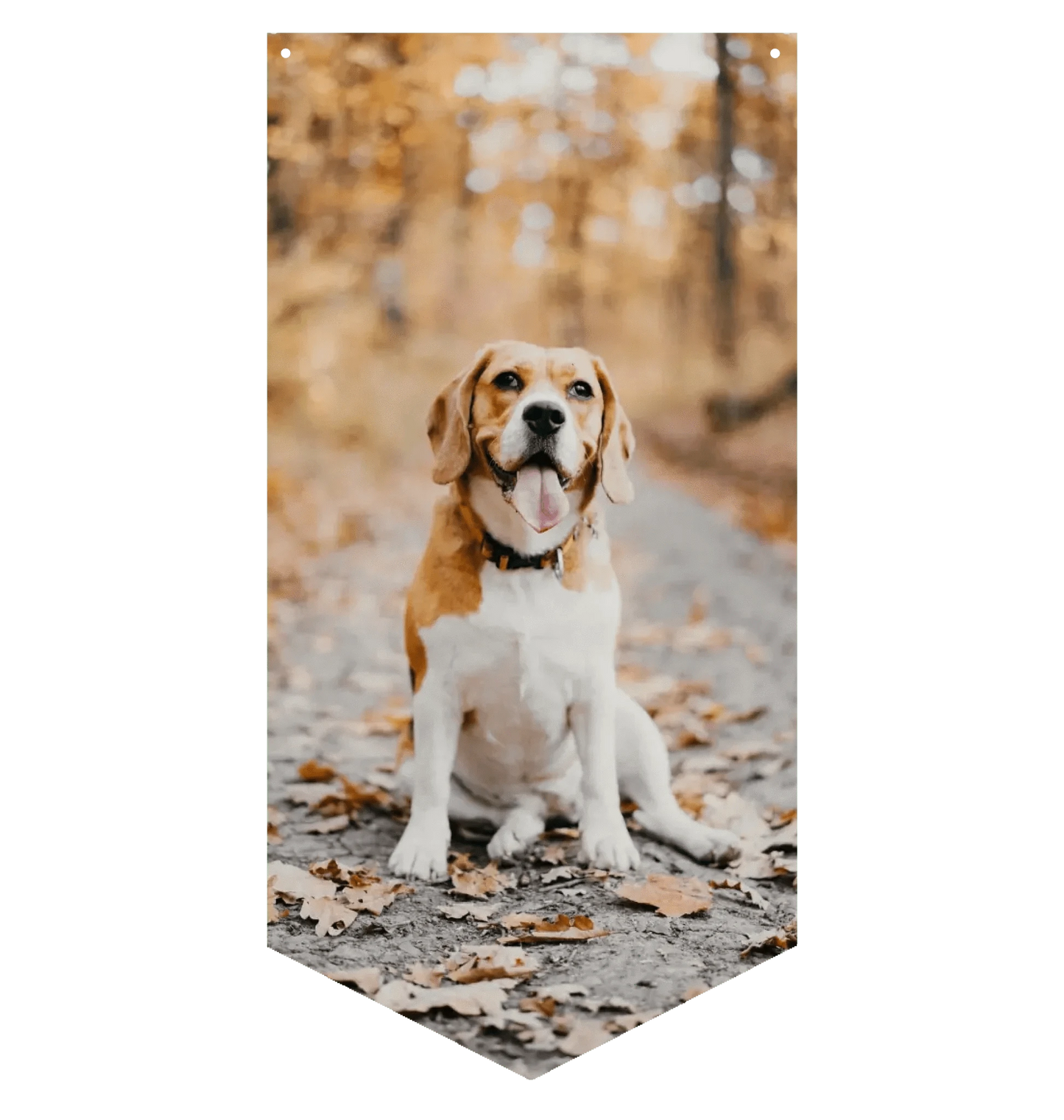 Photo Upload Wall Banner
