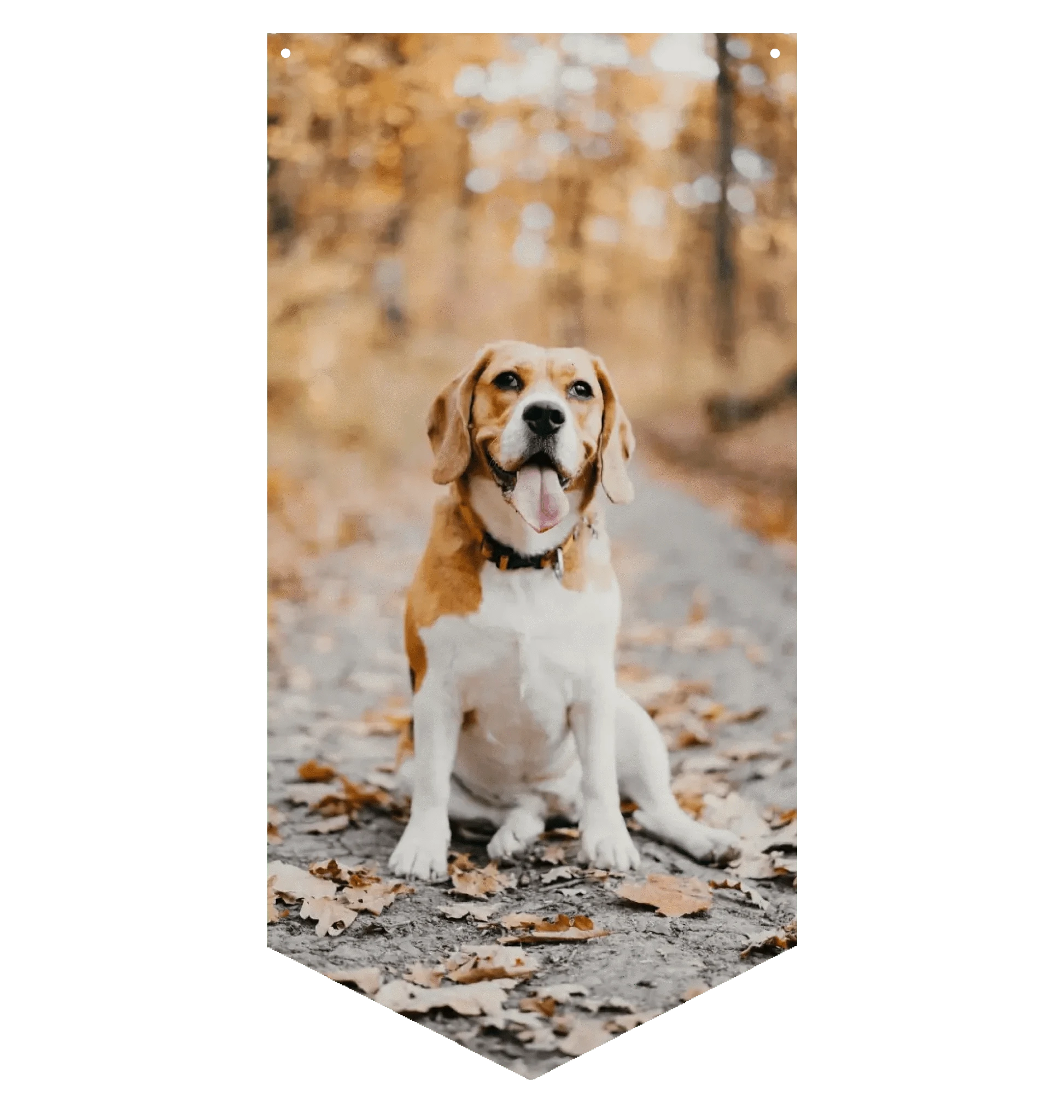 Photo Upload Wall Banner