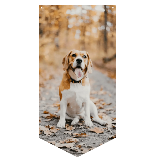 Photo Upload Wall Banner